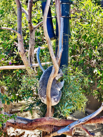 加州之旅 加州之旅