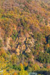 王屋山迎恩宮探店|在皇家道場尋一抹仙氣茶香