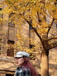 西安市區0元賞秋!索菲特銀杏大道地鐵直達的歐式浪漫