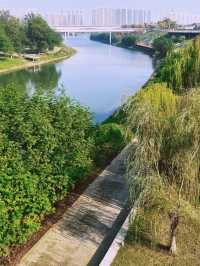 長沙小眾公園天花板磨盤洲生態公園溜娃不擠人