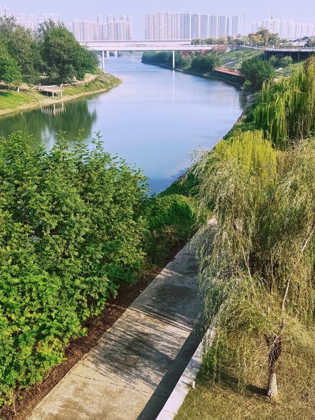 長沙小眾公園天花板磨盤洲生態公園溜娃不擠人 長沙小眾公園天花板磨盤洲生態公園溜娃不擠人