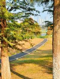 長沙小眾公園天花板磨盤洲生態公園溜娃不擠人