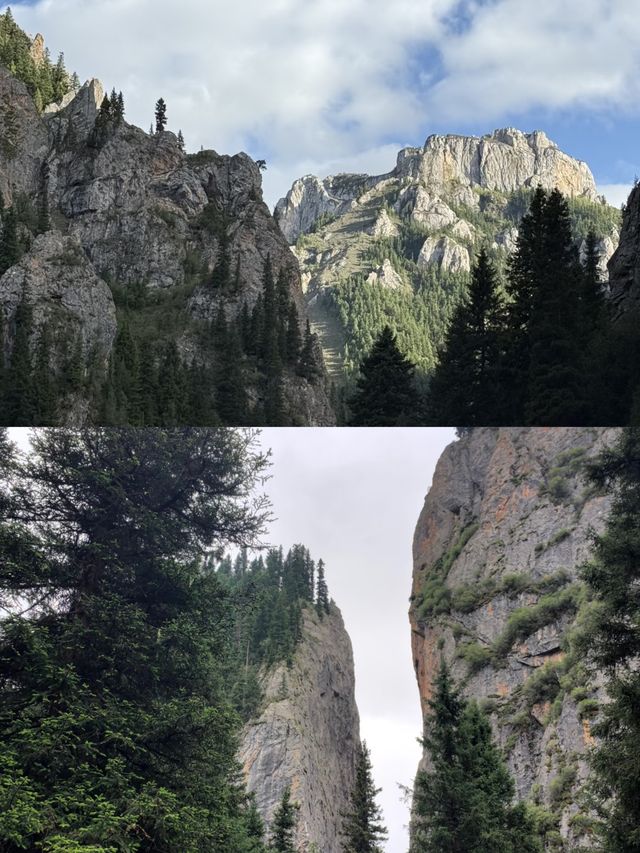 則岔石林,甘南的一顆璀璨明珠,等你來發現 則岔石林,甘南的一顆璀璨明珠,等你來發現