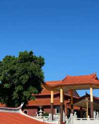 【石獅龍海寺深度遊】