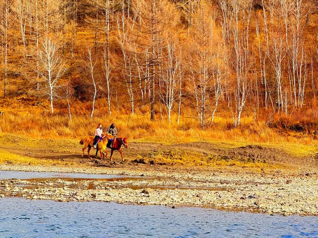 深秋阿爾山騎馬逐浪邂逅大興安嶺最美秋天