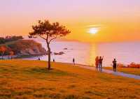 秋日限定青島-威海-煙台要去攻略