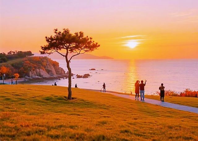 秋日限定青島-威海-煙台要去攻略