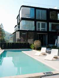 週末自駕莫干山帶毛孩子一起撒歡