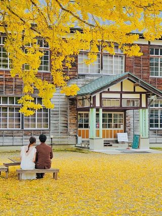 Showa Village Couple's Check-in Guide: Romantic Moments Under the Ginkgo Tree