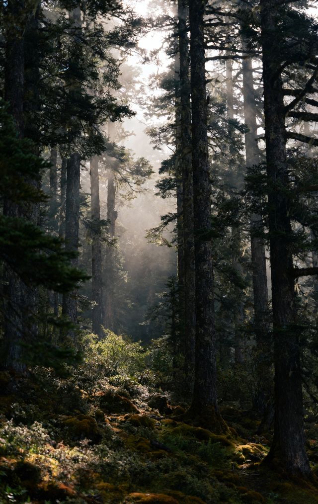 普達措一日窮遊500