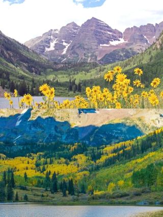 In-depth Guide to Aspen, USA: Skiing + Leisure Double Experience Without Pitfalls