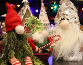 Southwick's Zoo Winter Wonderland Tour