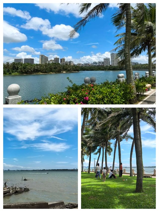 海濱公園私藏機位