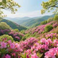 來一場說走就走的森林之旅吧