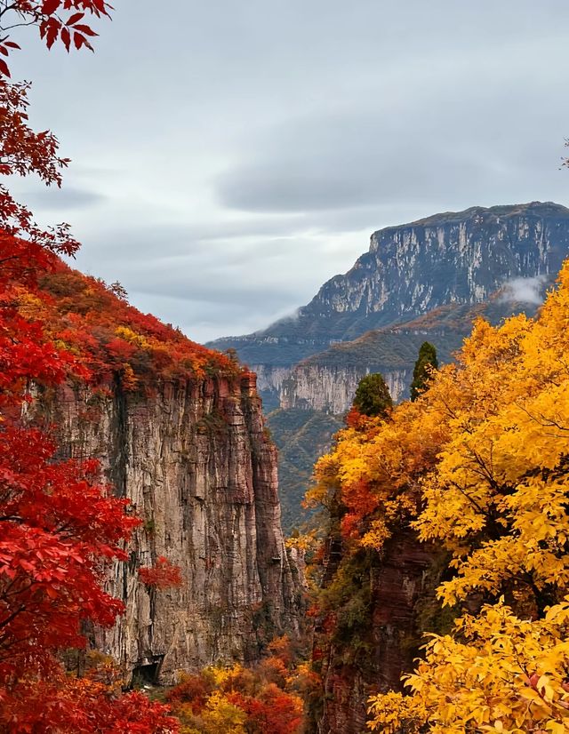 暴走南太行｜邂逅別樣秋色與自我昇華