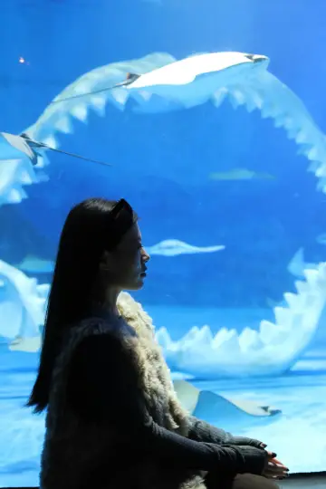 也算是拍到人生照片了吧