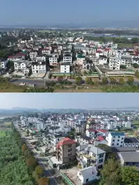 對自己的95號公路自駕遊攻略滿意到睡不著…