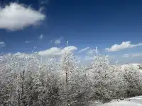 不是北歐，勝似北歐！雪後樺皮嶺