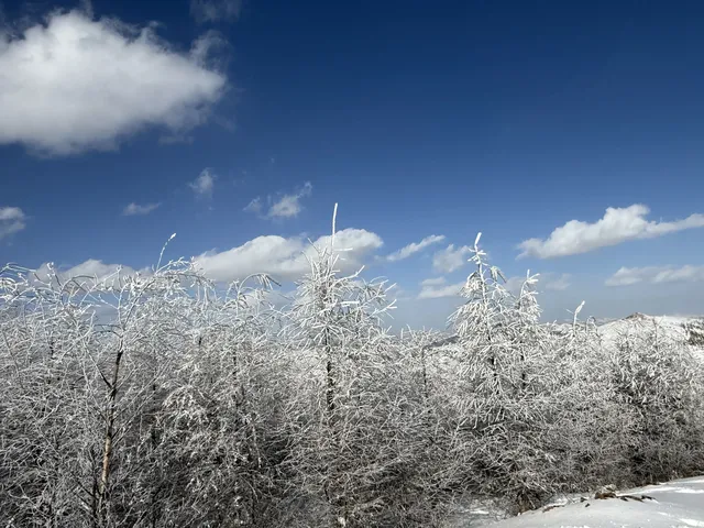 不是北歐，勝似北歐！雪後樺皮嶺