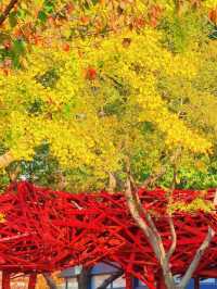 上海的秋日藝術巡禮