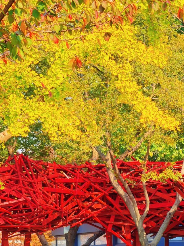 上海的秋日藝術巡禮