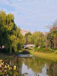 武漢人的私藏拍照聖地堤角公園邂逅初冬浪漫