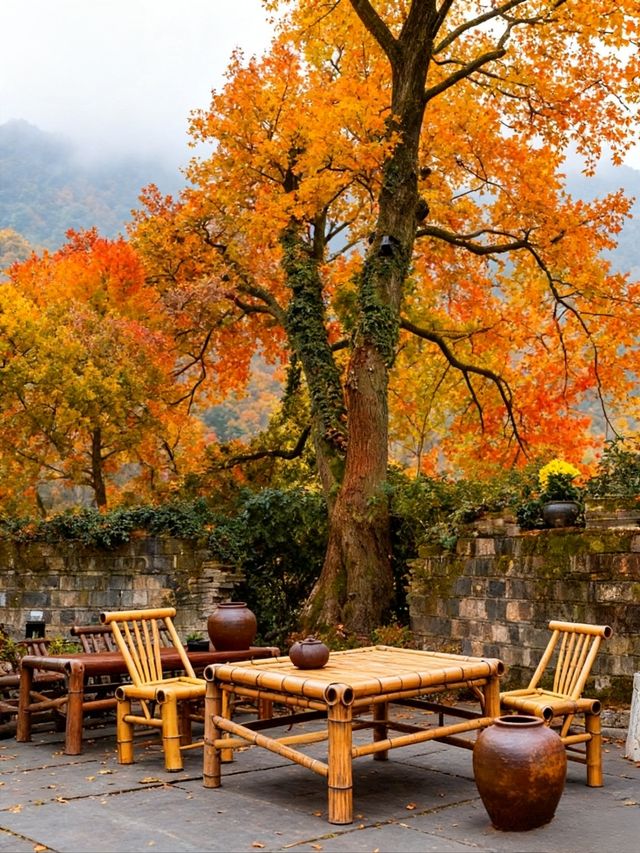 高鐵直達!快來皖南這個避世小鎮賞絕美秋色吧 高鐵直達!快來皖南這個避世小鎮賞絕美秋色吧