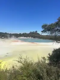 奧克蘭北島一日遊｜奧克蘭自然風景必打卡