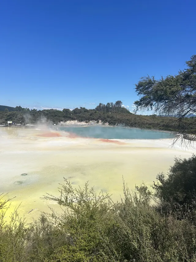 奧克蘭北島一日遊｜奧克蘭自然風景必打卡