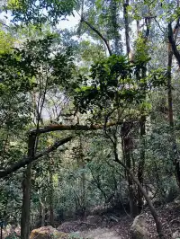 每週一山｜藏在江門的治癒系神山！