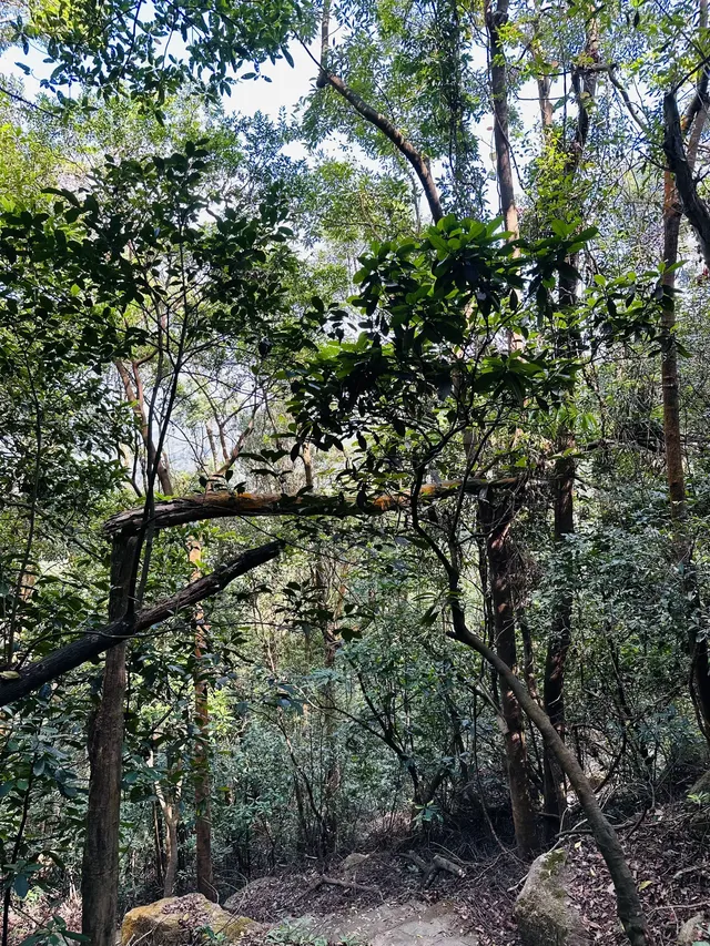 每週一山｜藏在江門的治癒系神山！