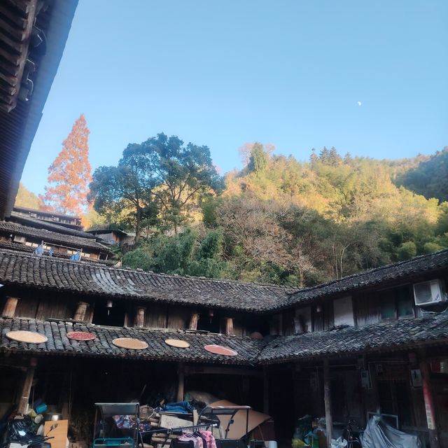 黃南林坑古村落｜藏著一整個絕美曬秋畫卷！