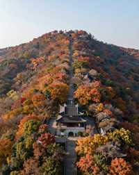 建築與自然的詩意碰撞|踏千年城垣,尋江南福地,感受古邑風雅