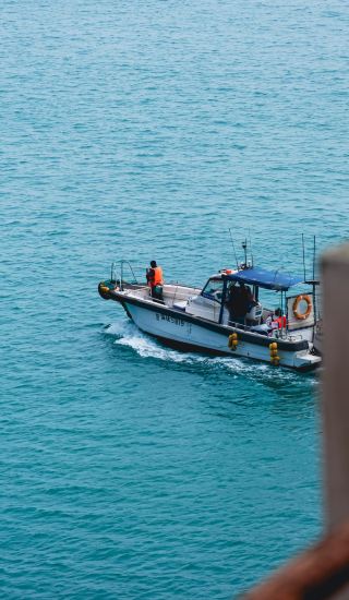 동극도｜미야자키 하야오의 푸른 동화 세계에 뛰어들다