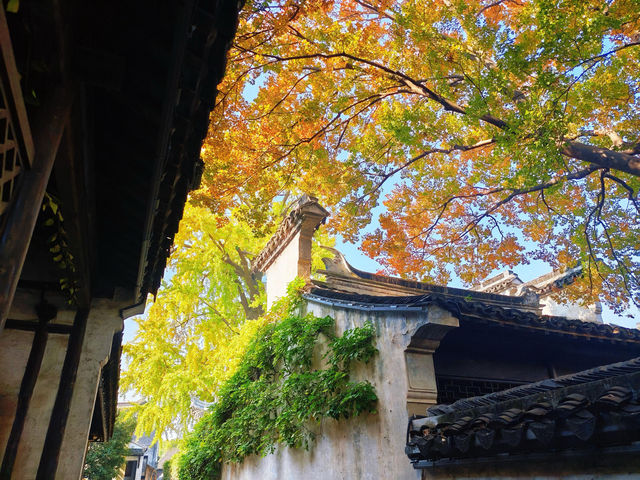 12月初實探｜無錫惠山古鎮，邂逅一場盛大的江南深秋