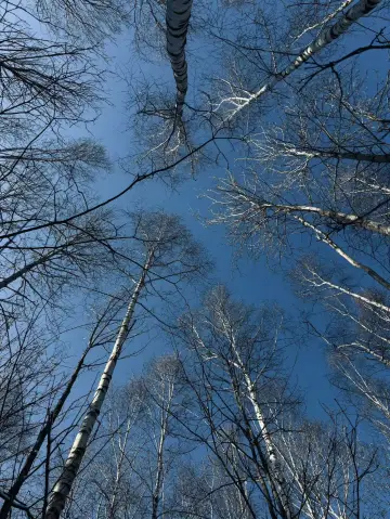長白山白山市|粉雪天堂冬季必打卡的4大仙境玩法