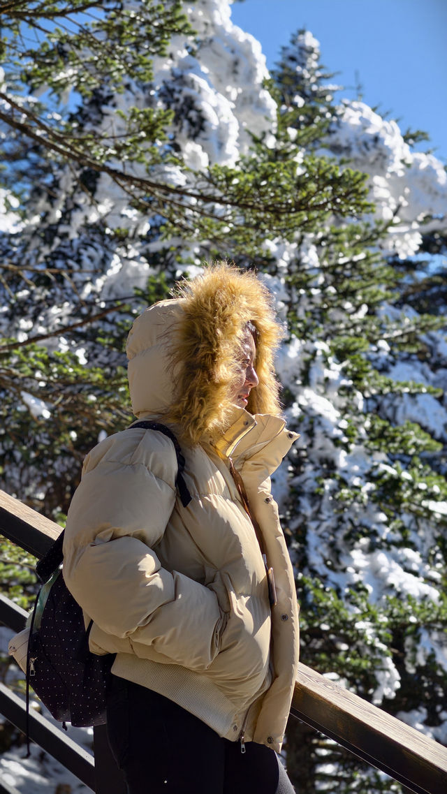 剛從轎子雪山回來,血淚教訓能救一個是一個 剛從轎子雪山回來,血淚教訓能救一個是一個