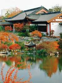 上海世博文化公園裡隱藏的寶藏園林!申園也太仙了叭~