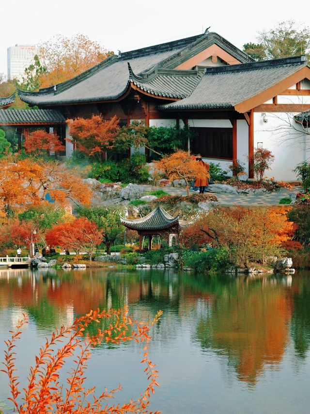 上海世博文化公園裡隱藏的寶藏園林!申園也太仙了叭~ 上海世博文化公園裡隱藏的寶藏園林!申園也太仙了叭~