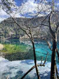 人均700九寨溝兩天一夜窮遊攻略｜徐州出發版