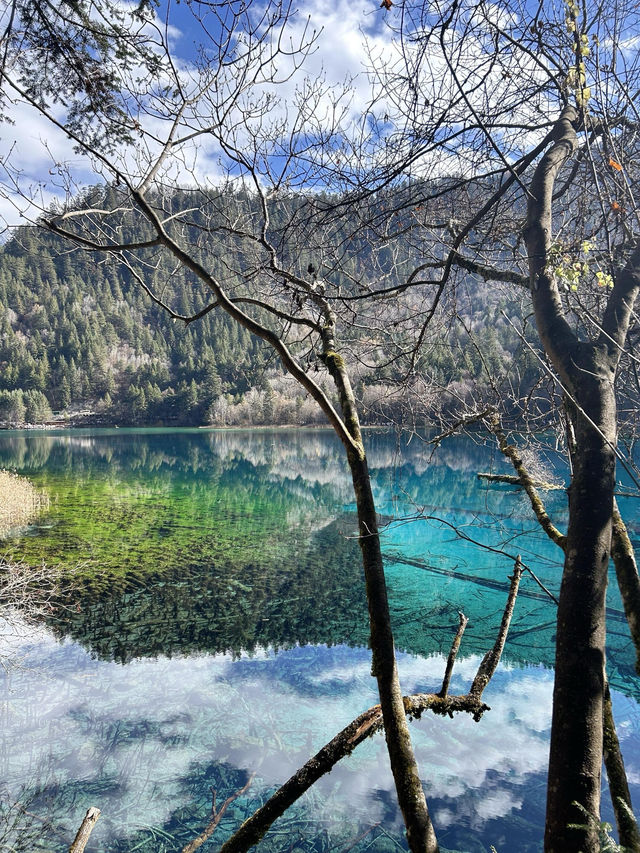 人均700九寨溝兩天一夜窮遊攻略｜徐州出發版