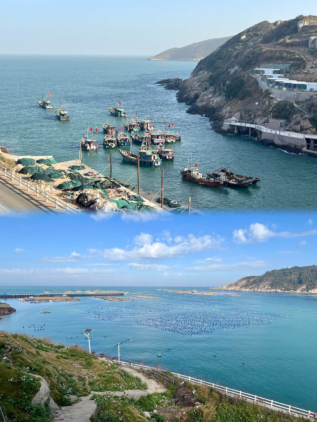 秋日南麂列島|黃草坪與礁石的絕美邂逅 秋日南麂列島|黃草坪與礁石的絕美邂逅