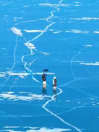 呼倫湖冬日仙境｜零下20°C的冰雪奇緣全攻略