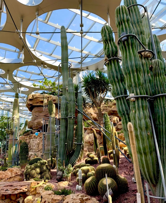 躲進城市雨林秘境