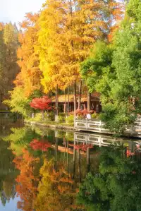 真的紅了武漢青山公園11.27實拍，美絕了