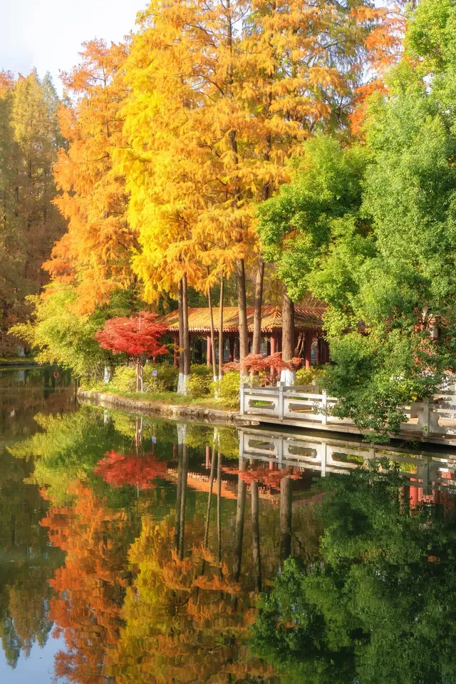 真的紅了武漢青山公園11.27實拍，美絕了