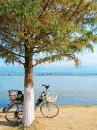 我最愛的冬日小眾旅行地不是雲南