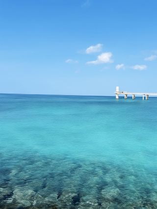 4-Day Japan Travel Guide You’ll Regret Missing