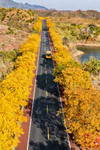 秋天的千島湖到底有多美答案都藏在這裡啦