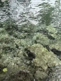 日內瓦一日citywalk逛吃攻略附路線